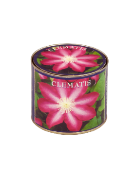 Clematis - Clematite - Seminte si pamant